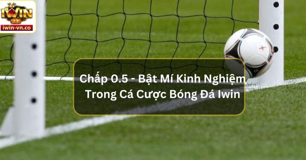 Chấp 0.5 - Bật Mí Kinh Nghiệm Trong Cá Cược Bóng Đá Iwin